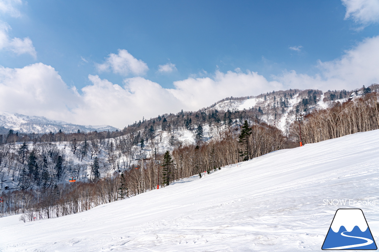 札幌国際スキー場｜さすが『KOKUSAI』！春シーズンも安泰の豊富な積雪で、まだまだ余裕で全面滑走可能です(^^)v
